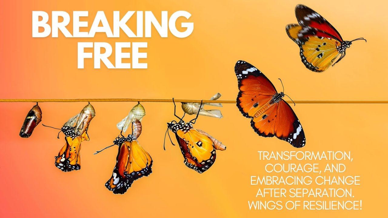 Breaking Free: Embracing Life After Separation