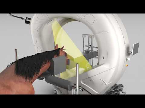 Video Pegaso Evolution Overview - Horse CT Scan - an Epica... - youtube