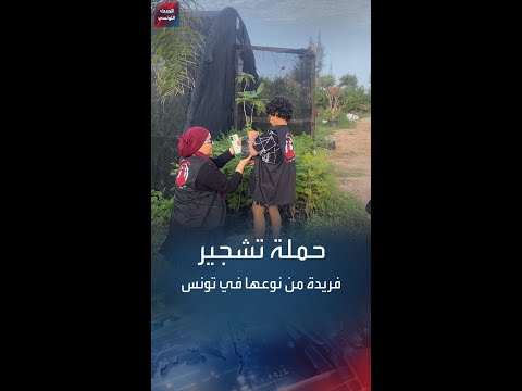 لكل تلميذ شجرة حملة تشجير فريدة من نوعها تشمل 850 شجرة جاكاراندا