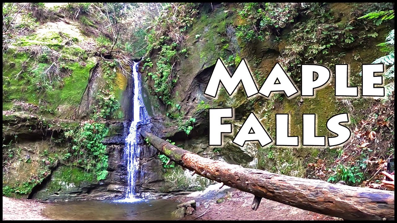 HowToFind Maple Falls Nisene Marks State Park YouTube