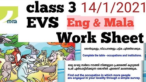 3rd Std EVS worksheet 14-1-21| kite victers EVS worksheet 14-1-21| parisarapadanam