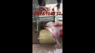 Máy ép xương cá thác lác, máy tách xương cá thác lác, máy lọc xương cá thác lác làm chả cá CR-300