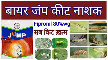 Bayer fipronil 80%wg insecticide l bayer jump insecticide l bayer best insecticide l fipronil 80 wg