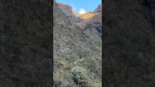 Day 2: Inka Trail to Machu Picchu (Dead Woman’s Pass and Runkurakay Pass) #peru #machupicchu