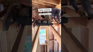 #side #crawler #ToeKnee #making #his #round #through #an #open #attic #ripe #for #great #viewing