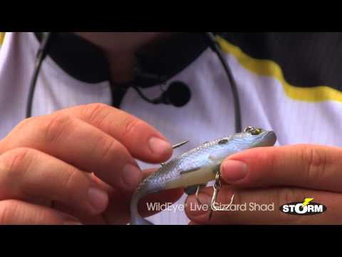 Storm® Wildeye® Live Gizzard Shad 