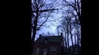 Telescoop kraan bomen verwijderen 2015