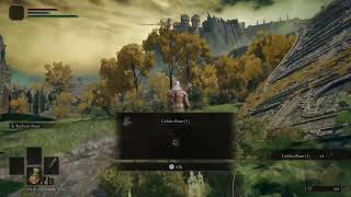 Elden Ring?!  What Even is This?