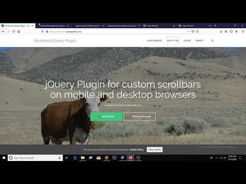 jQuery NiceScrolljs plugin use
