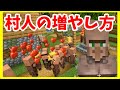 【マイクラ初心者攻略】 村人の増やし方 サバイバルでやってみた! まあクラ 【ゆっくり実況】