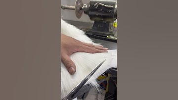 Mài kéo cắt tóc sắc bén hơn mới | Quang 3S 0961455991 #quang3s #maikeo #maikeocattoc