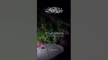 سورة القصص💕🖤|الشيخ محمد صديق المنشاوي|آيات-١٦|قَالَ رَبِّ إِنِّی ظَلَمۡتُ نَفۡسِی🖤💙💕|يارب العالمين💞|