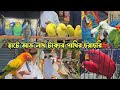 মিরপুর ১পাখির হাট_21/11/2025. Biggest Pets Market Mirpur #birds