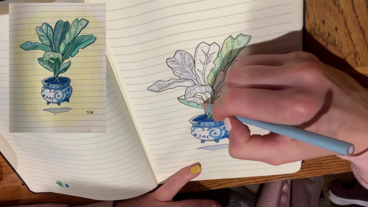 Drawing a plant using colored pencils YouTube