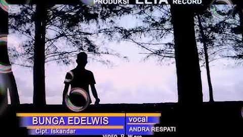 Bunga edelweis by:Andra Respati