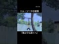 【Jsb31】トム・ソーヤの冒険見てましたか?