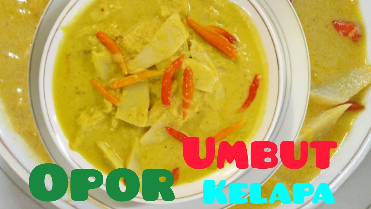 Opor umbut kelapa yg  nikmat sekali