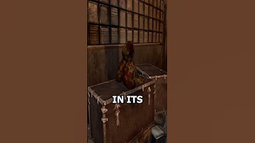 The Black Ops 2 Teddy Bears Are Alive #shorts #gaming