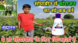 सोयाबीन में कोराजन का स्प्रे कब करें || soyabean me coragen ka spray || soyabean ki kheti