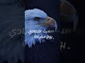 لا يحمل الحقد أحمد بن عبدالعزيز النفيس  4  اكسبلور تصميمي 