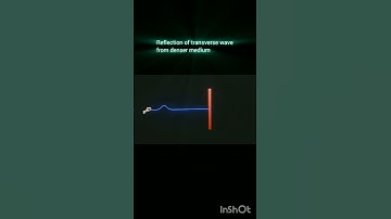 Reflection of transverse wave from denser medium|| #physics #science #physicsanimation