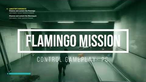 Cleanse and contain the Flamingo - Control