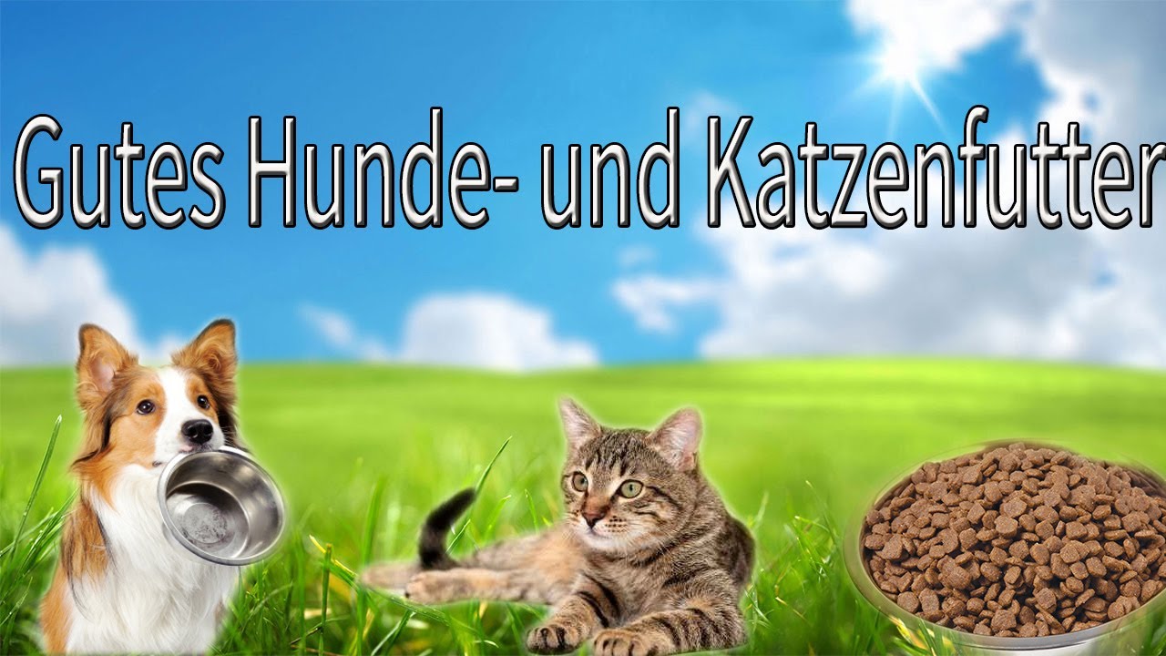 Orijen oder Marengo oder welches Hundefutter ist denn nun das Beste? -  Sprhundeschule Blog