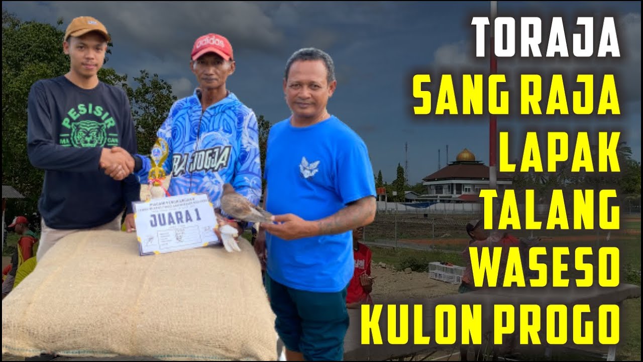 LOMBA MERPATI KOLONG MEJA ANIVERSARY BOS HERU LAPAK TW KULON PROGO