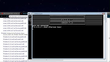 How to (Succesfully) Install PyAudio|(solved)
