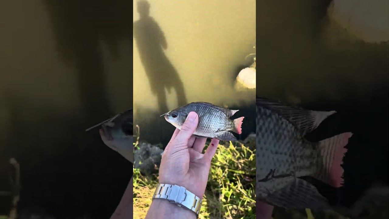 Sent bro back home...                       