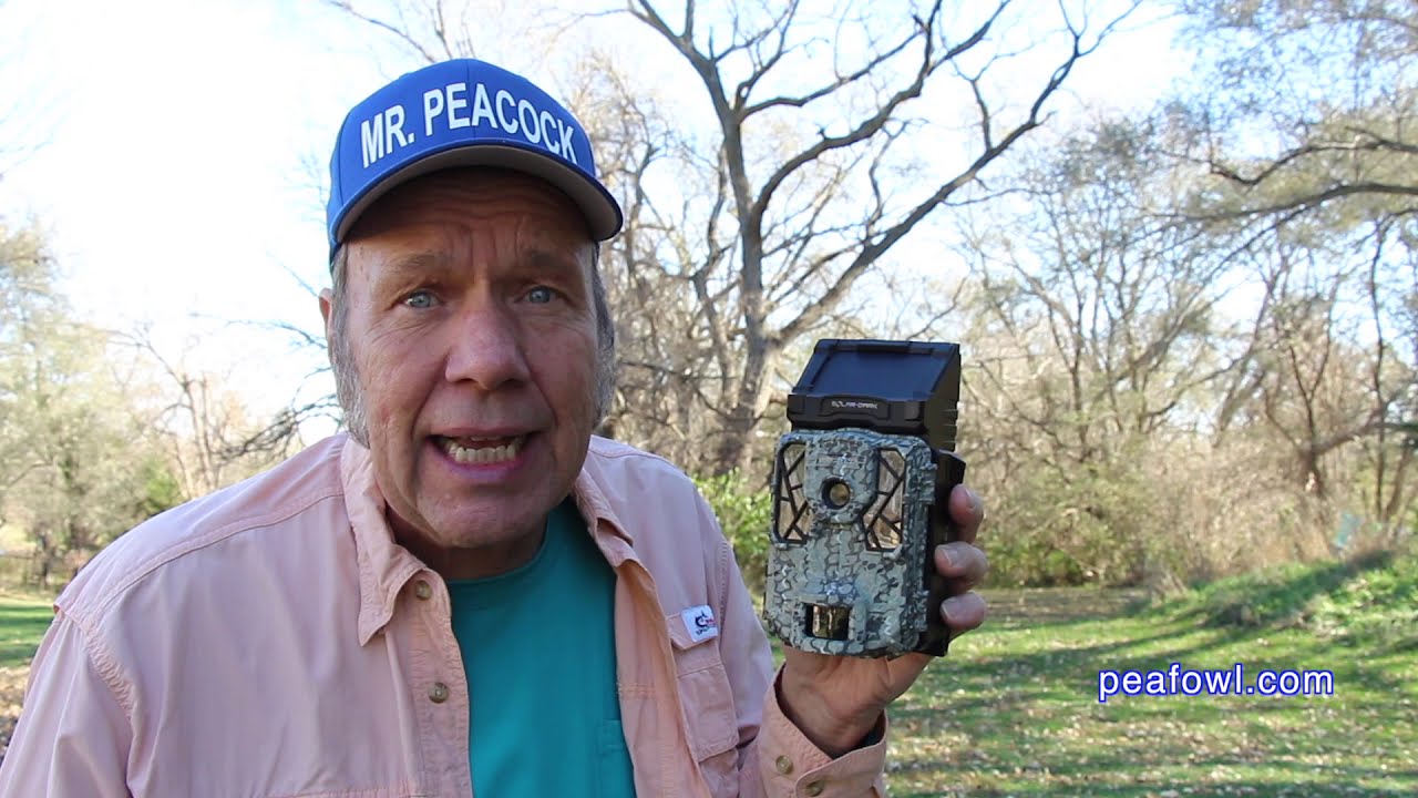 spypoint solar game camera