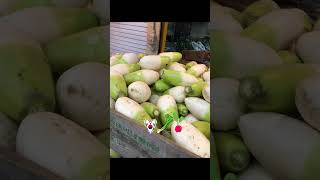 Korean delicious green onion &amp; radish #korean #koreanradish #greenonion #sonyyu #koreanstyle