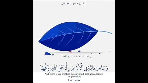 سورة هود ماهر المعيقلي