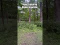 Cab and I capture a video of Bigfoot knocks #bigfoot #knock #sasquatch_01 #camping #scary #strange