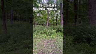 Cab and I capture a video of Bigfoot knocks #bigfoot #knock #sasquatch_01 #camping #scary #strange