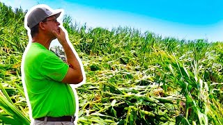 Celebrity Our Worst Crop Ever Net Worth