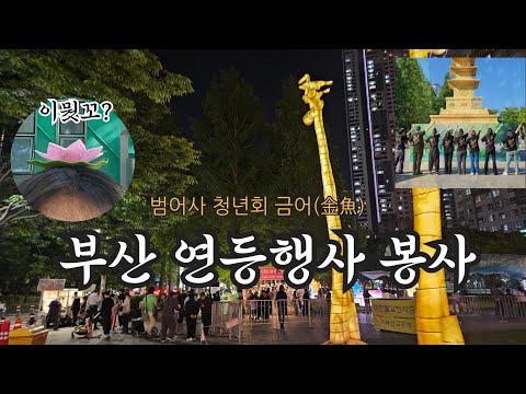 불교연등회와 불교청년회(제기차기 고수들을 만나다)