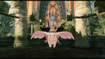 FFXIV East Shroud Chapel OOB [5.5] [PATCHED]