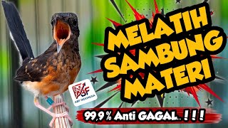 99,9% Anti Zonk ! MASTERAN MURAI BATU FULL ISIAN TEMBAKAN KEKINIAN‼️