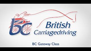 British Carriagedriving Gateway Class - Get Started in Carriage Driving!
