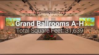 Greater Fort Lauderdale Broward County Convention Center - Event Spaces