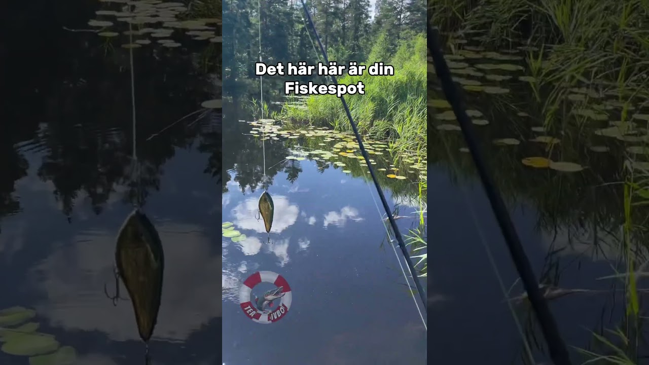 Vart kastar du och vad fångar du?😈 