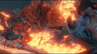 Demon Of Hatred Vs Inner Isshin Sekiro Boss Vs Boss Npc Fights