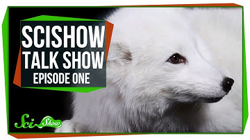 Introducing: SciShow Talk Show!  Emily, Rhinos, and Cas the Arctic Fox