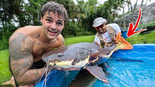 Moving MONSTER FISH into Backyard POND!! (65lbs)