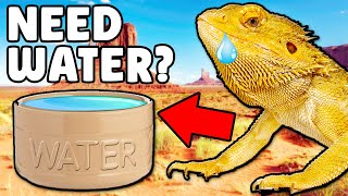 Do Bearded Dragons Need Water Bowls?