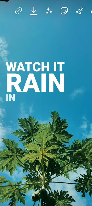 good morning story wa