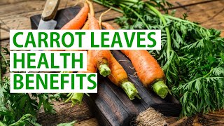 The Amazing Health Benefits of Carrot Leaves You Need to Know