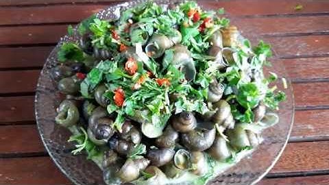 Ốc đắng xào nước cốt dừa