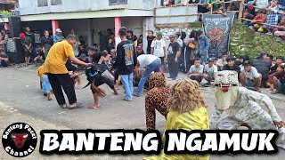 New Turangga Jaya Live Wiyu Pacet Mojokerto  || Bantengan